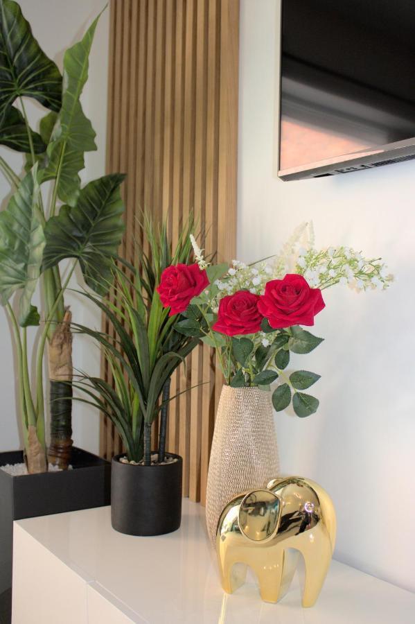 L'Escale Tropicale, Appartement Independant Avec Terrasse Privative Saint-Quentin  Zewnętrze zdjęcie